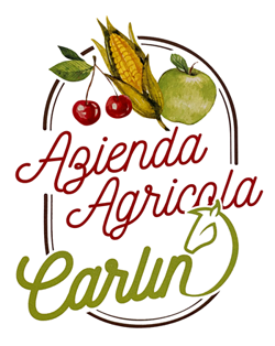 Agricola Carlin